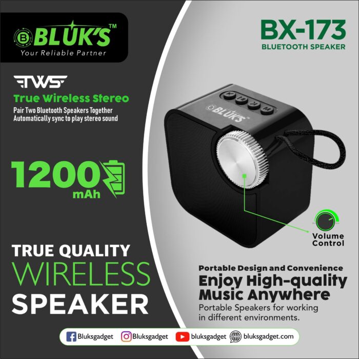 BLUK'S Speaker BX173 - Image 2